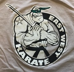 Ninja Cool East West Karate T-Shirt, Gray, Size Large