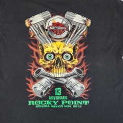 Harley Davidson Rocky Point 2013 Skull Rally Tee Mexico L 21×29