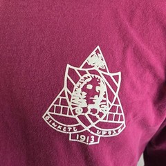 Phi Sigma Sigma T Shirt Womens Medium Red Spirit Jersey Oversized Sorority L/S