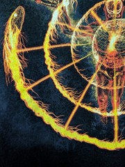 Tool Medium Black 10,000 Days Shirt 2007 Flame Snake Spiral 19″ W X 26″ L Anvil