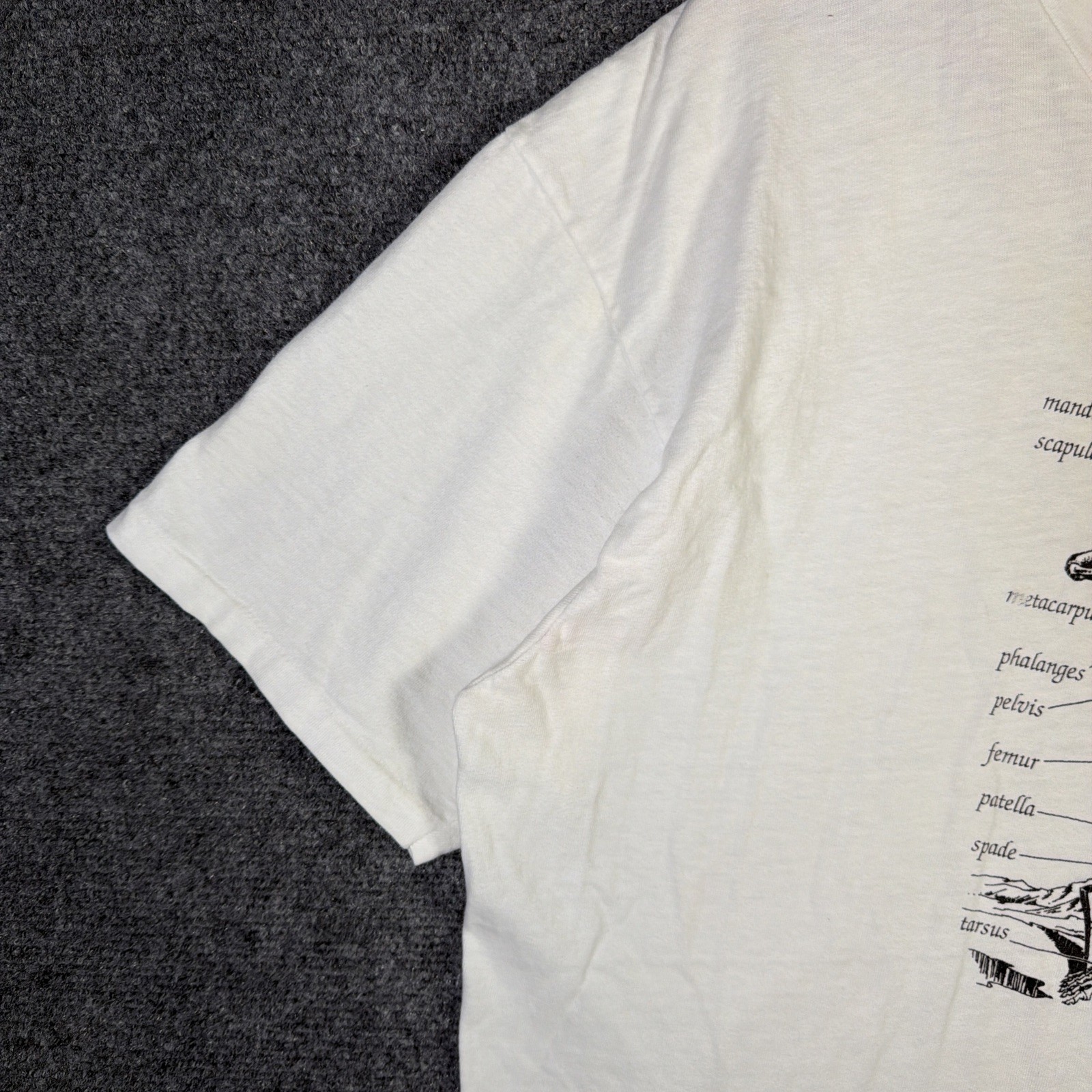 Vintage Skeleton Shirt Mens XL White 90s Anatomy Science Bones USA Art Portrait gallery
