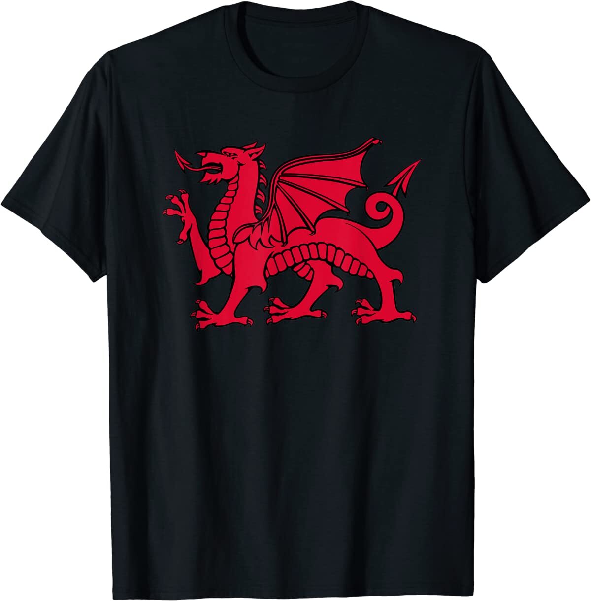 Welsh Red Dragon Flag of Wales T-Shirt