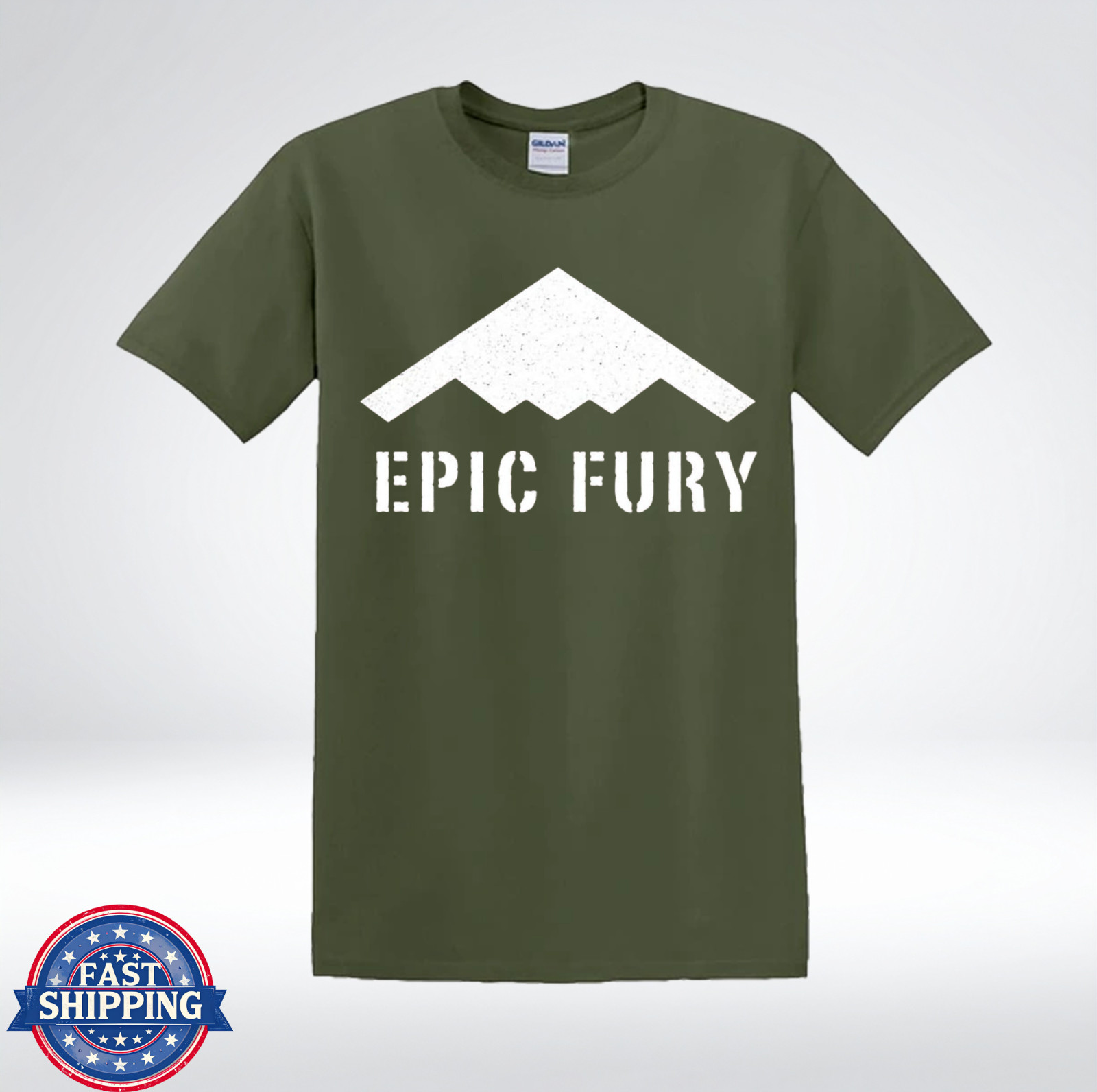 Epic Fury Stealth Bomber Inspired Shirt T-Shirt gallery