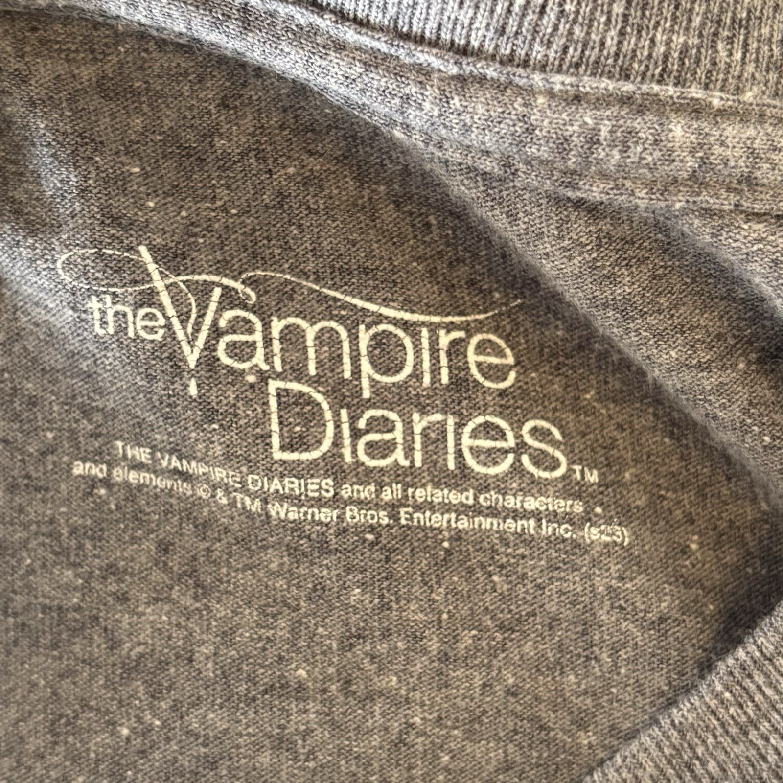 The Vampire Diaries Graphic Shirt Mens XXL Gray Y2K TV Series Rare Tee gallery