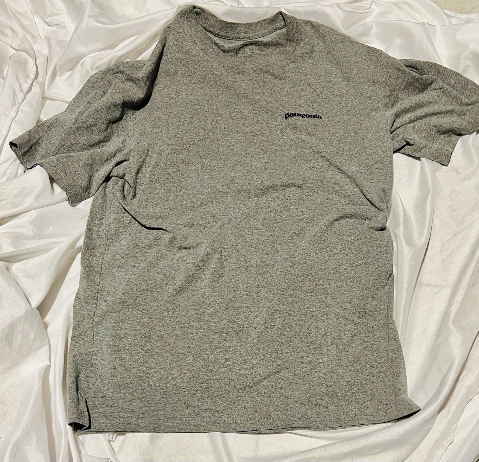 Patagonia Cotton Logo T-Shirt Gray ( Small gallery