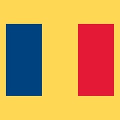 Romania European Flag Basic Cotton T-Shirt – Daisy