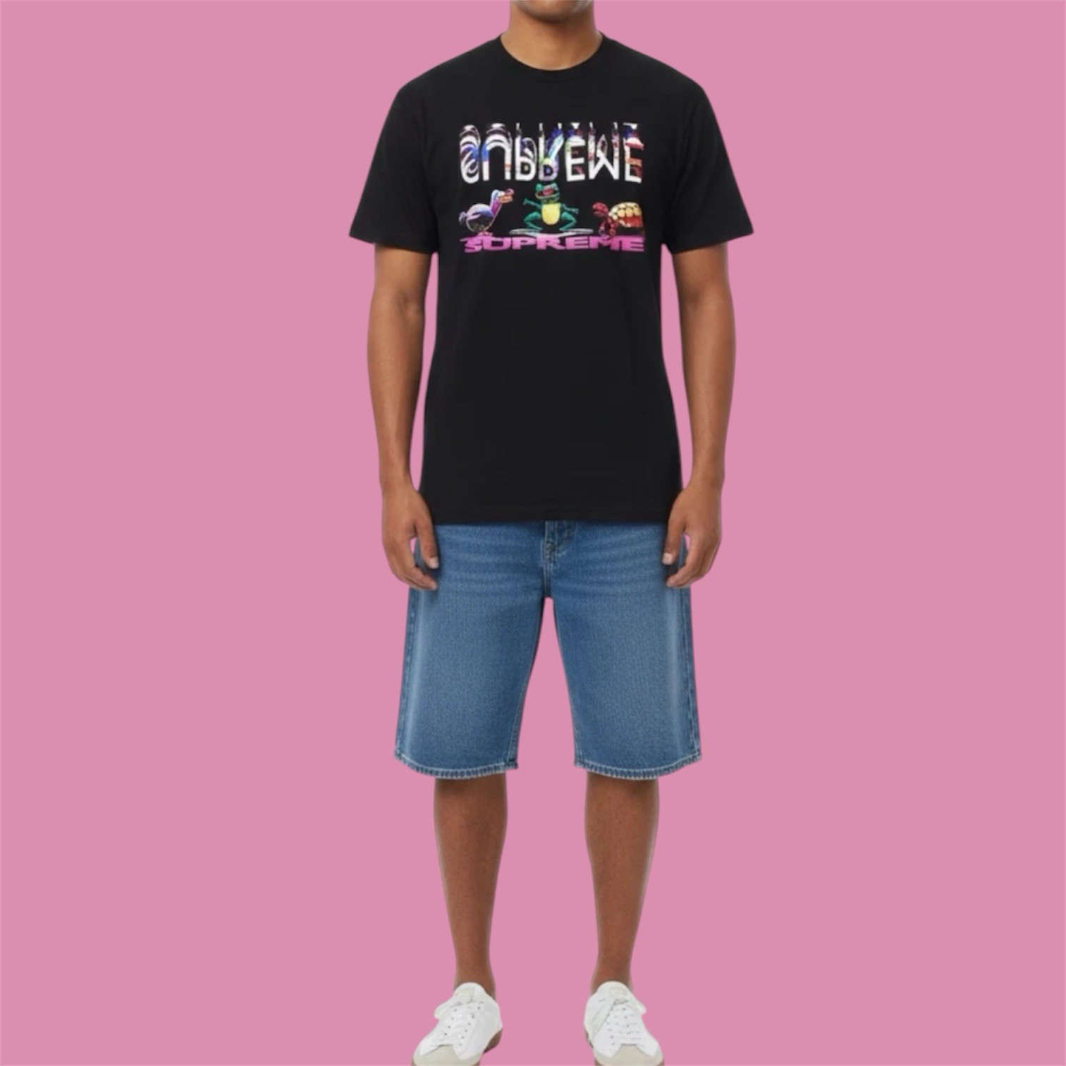 Supreme Fall/Winter 2017 - Animal Friends Black Graphic Tshirt Size Medium gallery