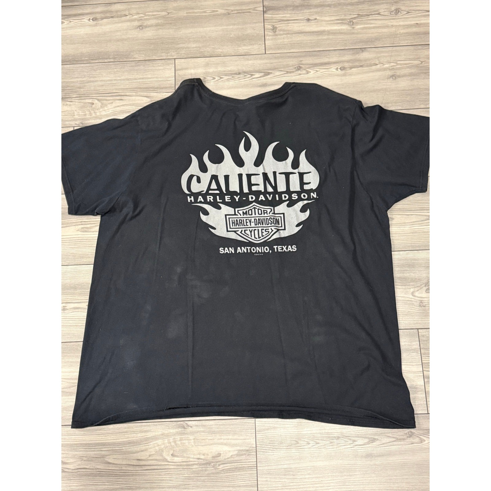 Harley-Davidson Texas Rebel Graphic tee gallery
