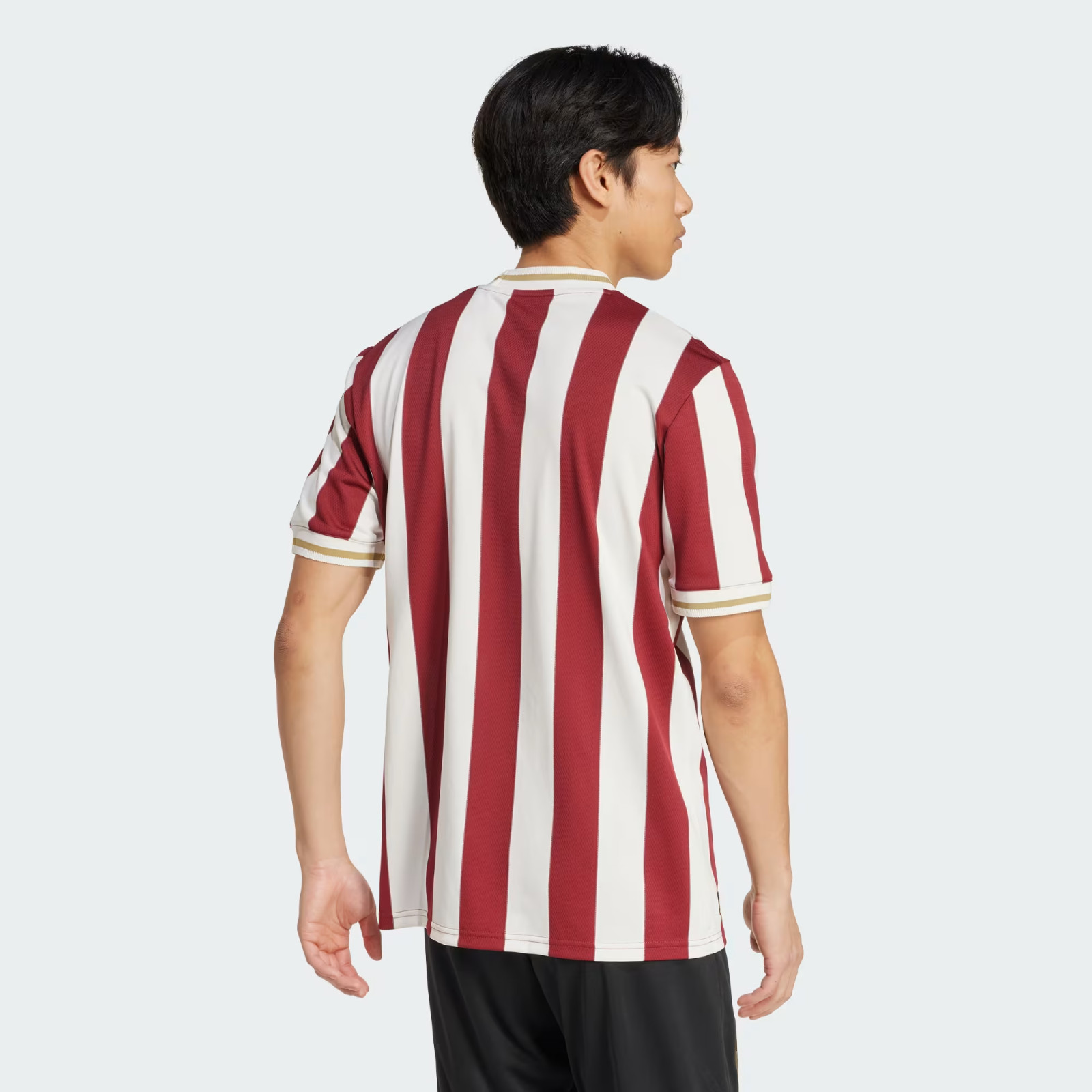 adidas 1. FC Nurnberg Anniversary JG6350 Noble Maroon/Chalk White Unisex Jersey gallery