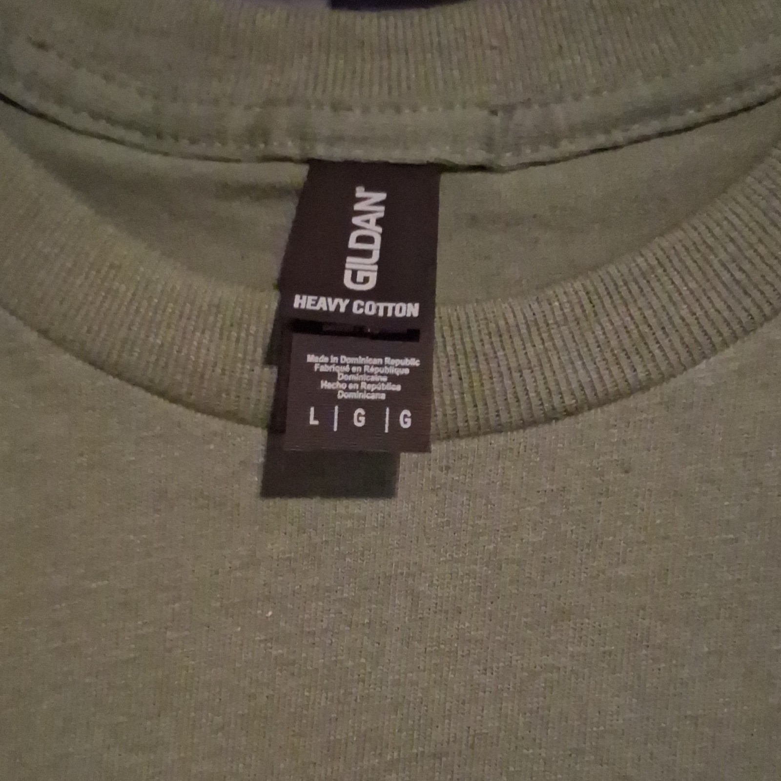 Gildan Heavy Cotton Men's L Green Crew Neck Short Sleeve Esther 4:14 Tee gallery