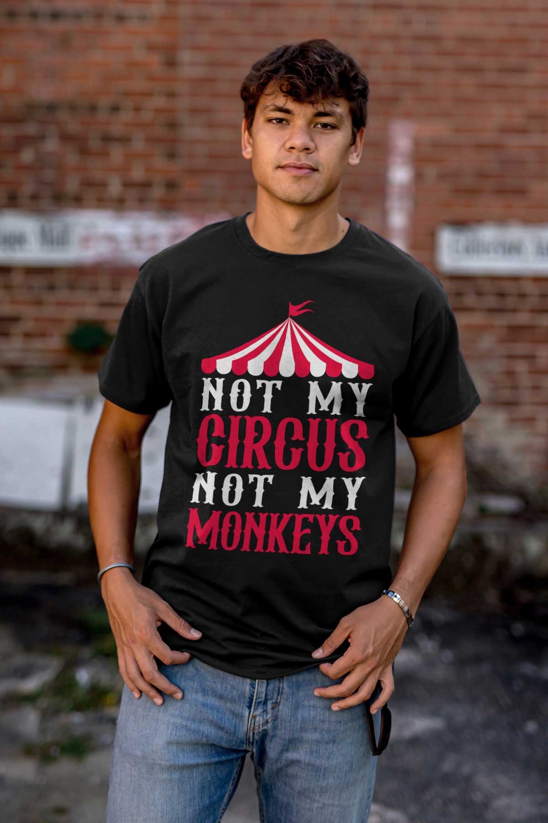 Funny Sarcastic Not My Circus Not My Monkeys Womens or Mens Crewneck T Shirt Tee gallery