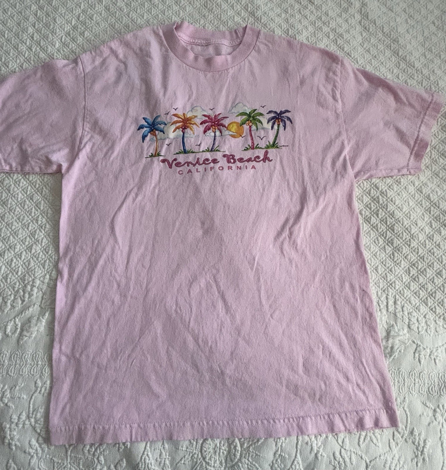Vtg Sunshine & Waves Surfing Venice Beach California Los Angeles Graphic T-shirt