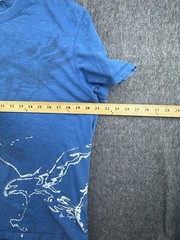 American Eagle Outfitters Mens Shirt Size Large Blue Tee Graphic Eagle Print
