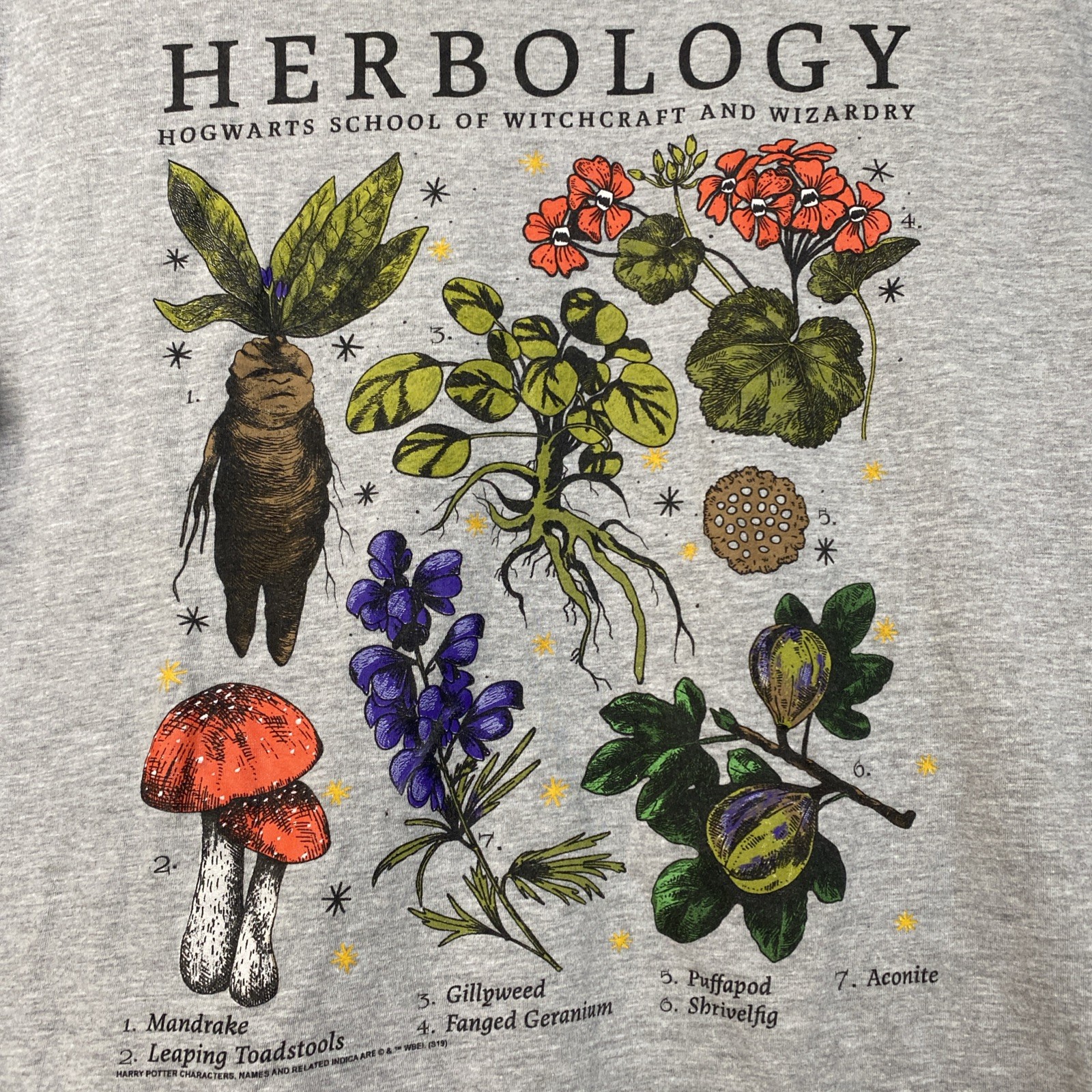 Nature T Shirt Foraging Harry Potter Mens Large L Mushrooms Outdoors gallery