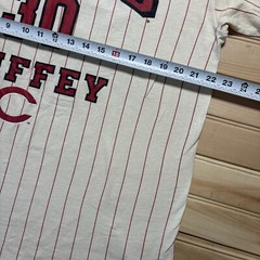 Vintage 2000 Ken Griffey Jr. Cincinnati reds Pinstripe Shirt Size Large
