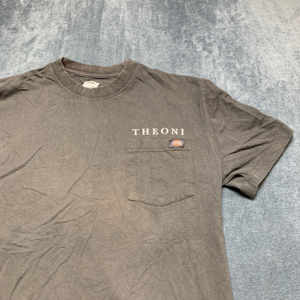 Dickies Theoni T Shirt Mens Small Gray Cotton Non Stretch Streetwear Outdoor Tee gallery