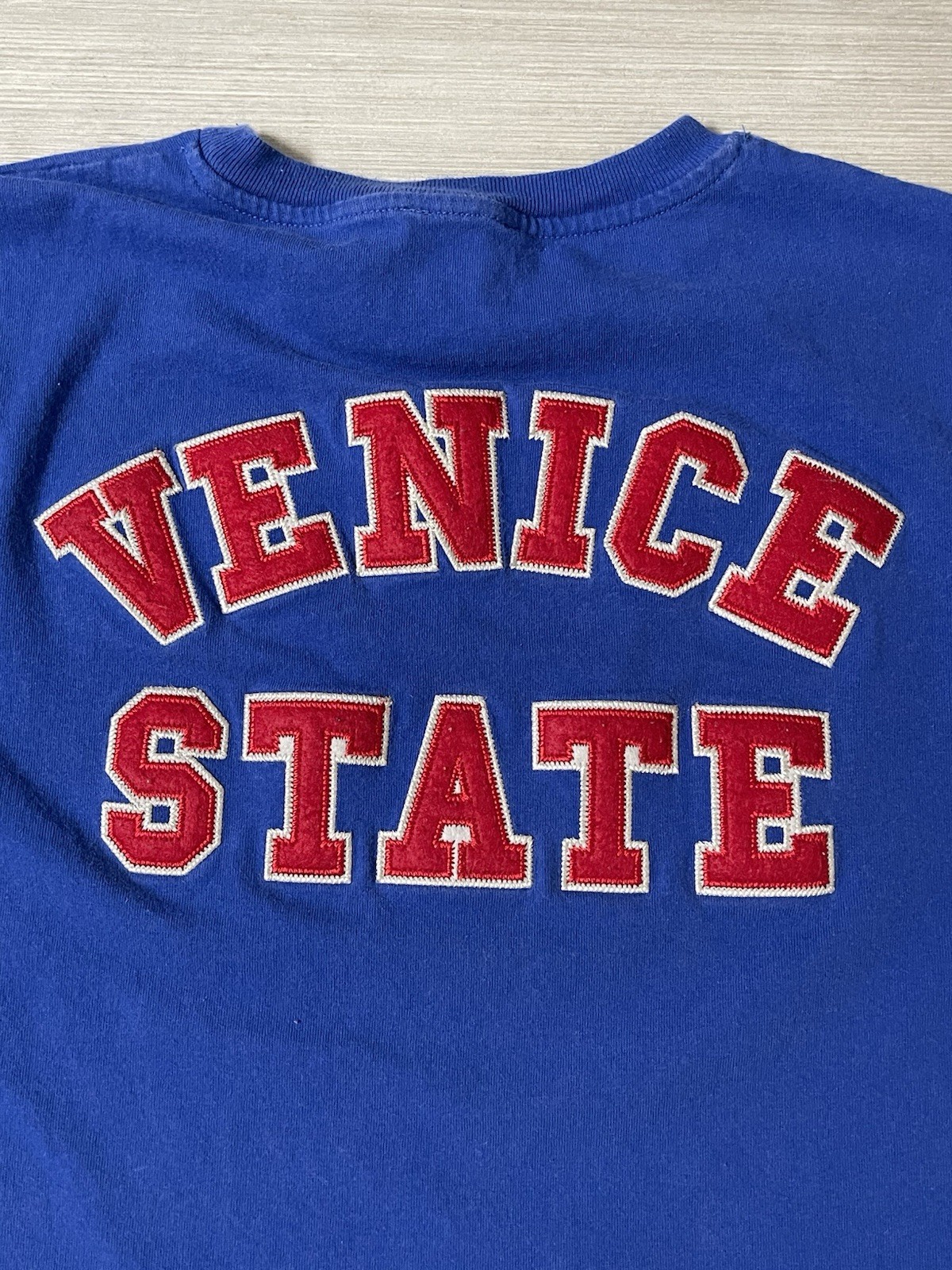Diesel Venice State Embroidered Blue T Shirt Double Sided Men’s Fits Large (XL) gallery