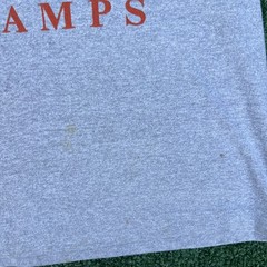 VTG Cleveland Browns T-Shirt Mens Medium Gray AFC Central Division Champs 80s
