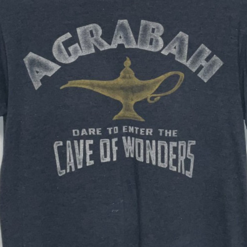 Aladdin Short Sleeve T-Shirt Men's Large Blue gallery