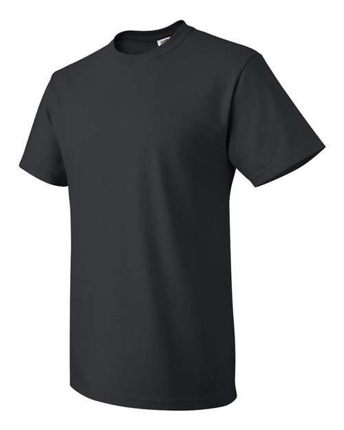 Fruit of the Loom - 3930R - HD Cotton Short Sleeve T-Shirt - BLACK - LOT gallery
