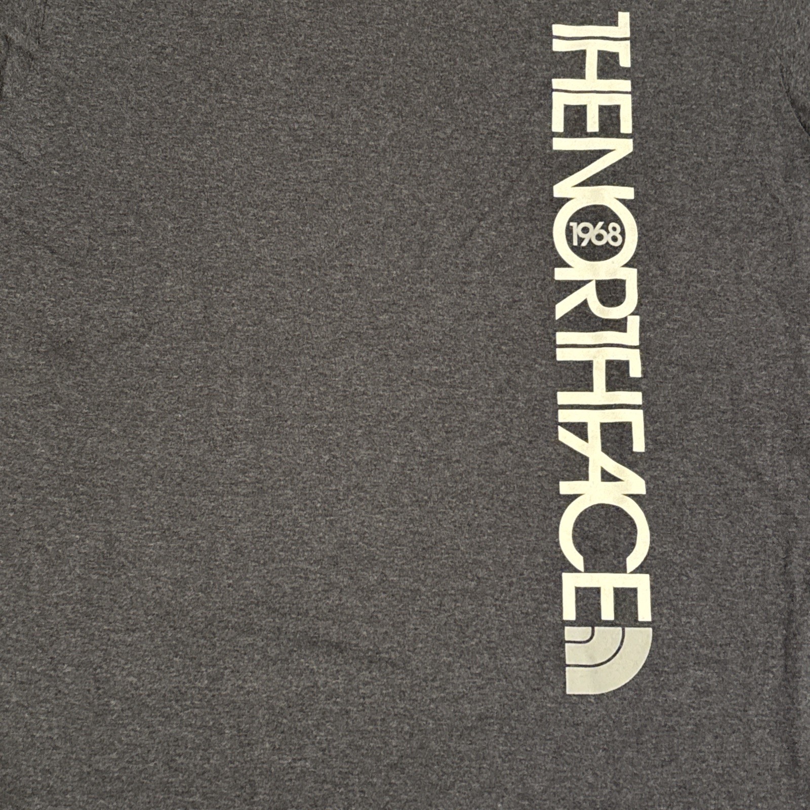 The North Face Text Logo Established 1968 T Shirt Gray Sz Large Gorpcore EUC gallery