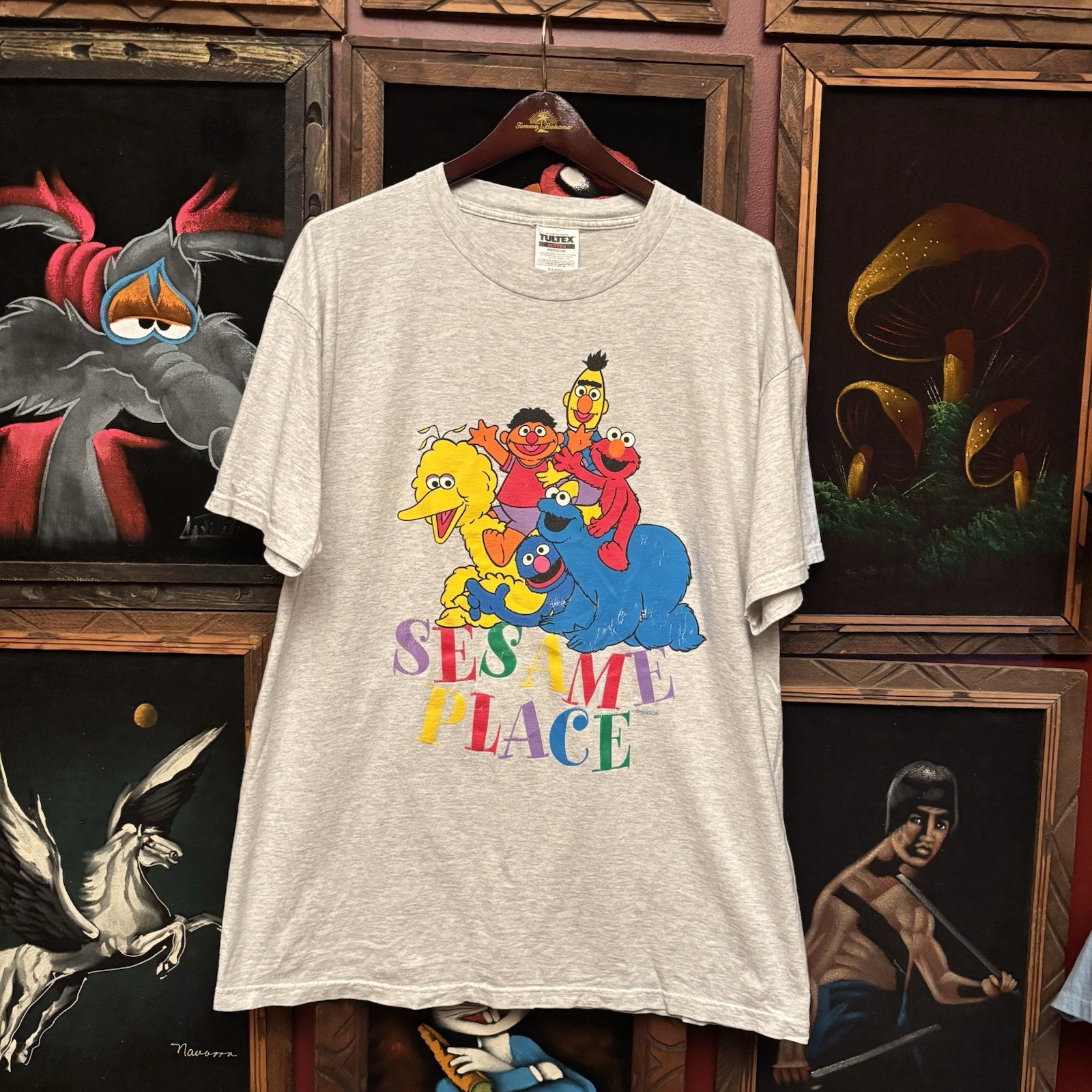 Vintage Sesame Place Sesame Street 90s Adult Men’s XL Grey Cotton T-Shirt gallery
