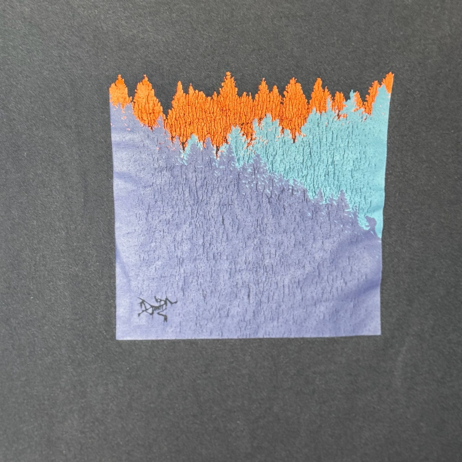 Arc'teryx Arc'Word Mountain Forest Graphic T-Shirt gallery