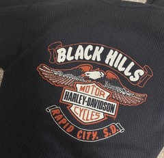Vintage 1988 Harley Davidson Gargoyle Devil Dragon Long Sleeve Shirt XL
