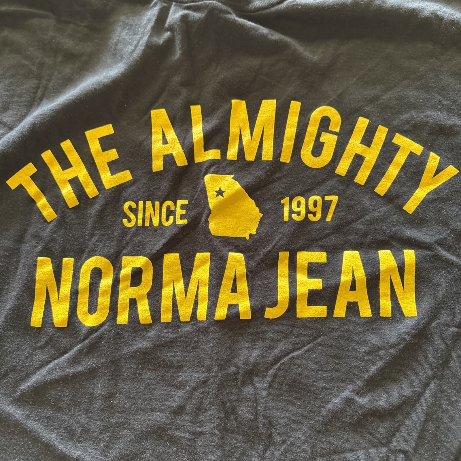 The Almighty Norma Jean Logo T-Shirt Metal Core Band Official Merch Sz 2XL Black gallery
