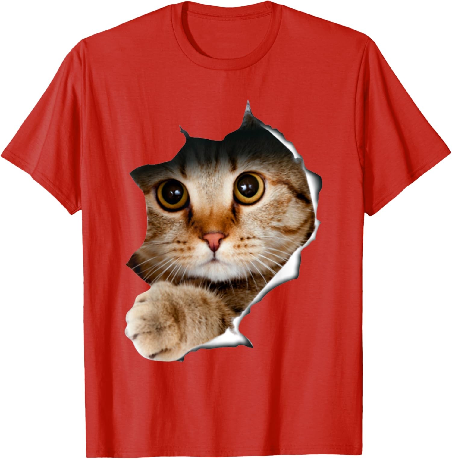 Kitten Lover Cute Kitten Cat Lover Funny And Cute Unisex T-Shirt gallery