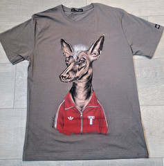 Peruvian Design Shirt Unisex Size M *** Peruvian Inca Orchid – Perro sin pelo
