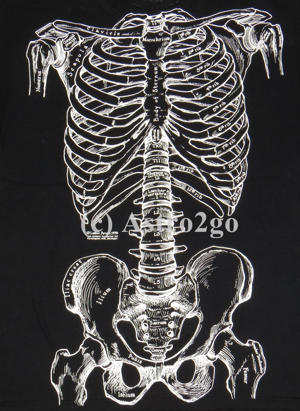 BONES-Leslie Arwin Skeleton Anatomy Biology Life Science Medical 2 sided T shirt