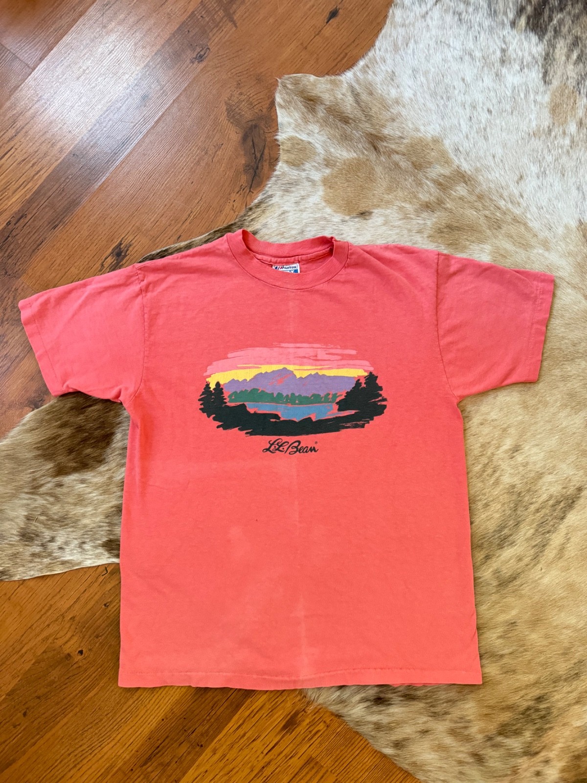 RARE LL BEAN vintage 1980s graphic tee hanes beefy tee single stitch size L