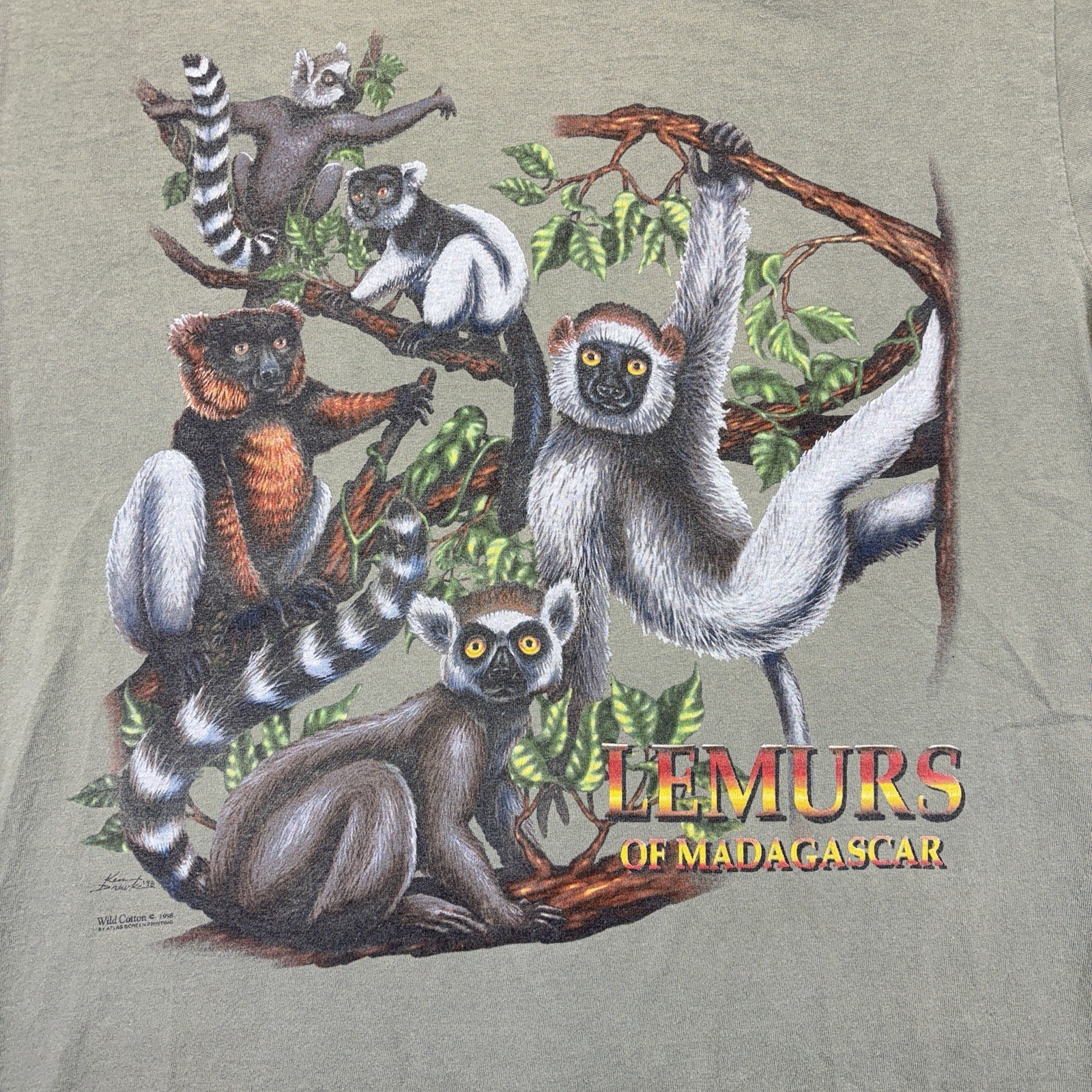 Vintage 1998 Lemurs of Madagascar T-Shirt Men’s L Green Single Stitch USA gallery