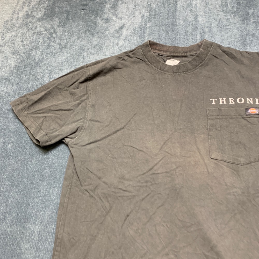 Dickies Theoni T Shirt Mens Small Gray Cotton Non Stretch Streetwear Outdoor Tee gallery
