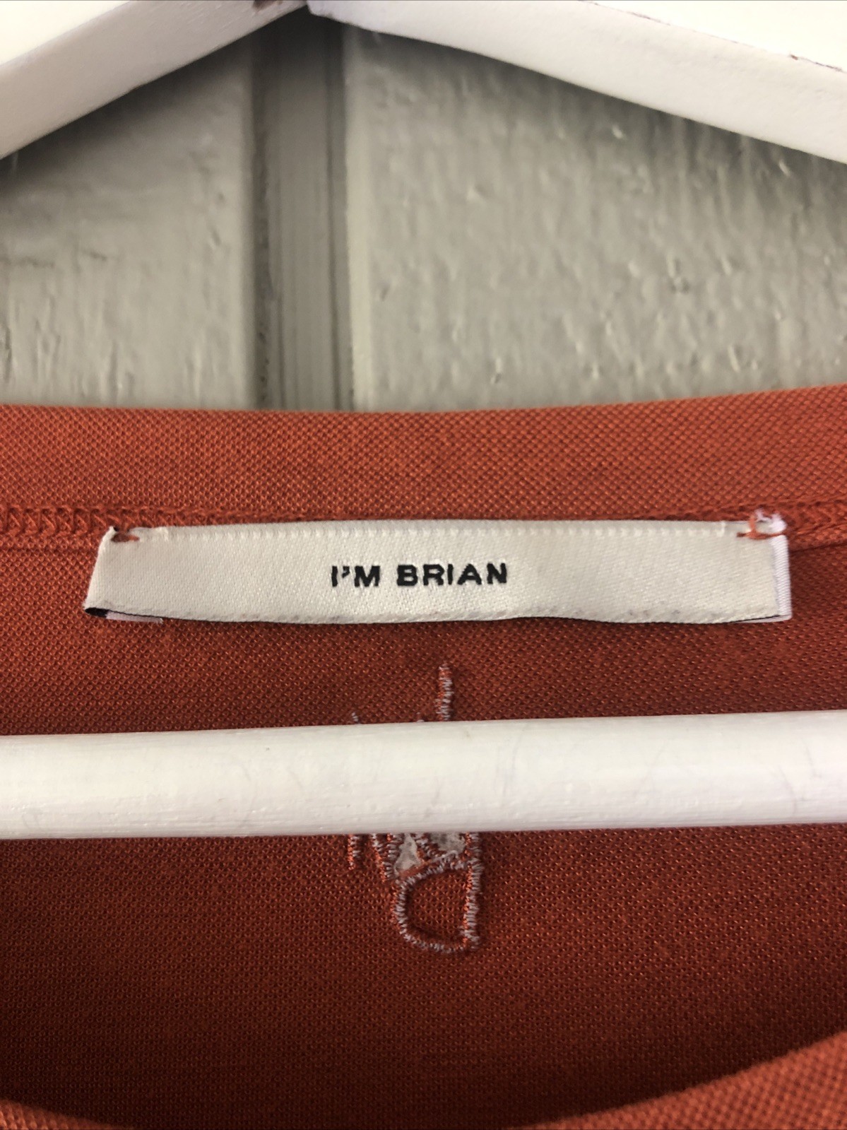 I'm Brian Mens T Shirt Rust Orange Made in Italy 55% Rayon Tee Size XL Quality!! gallery