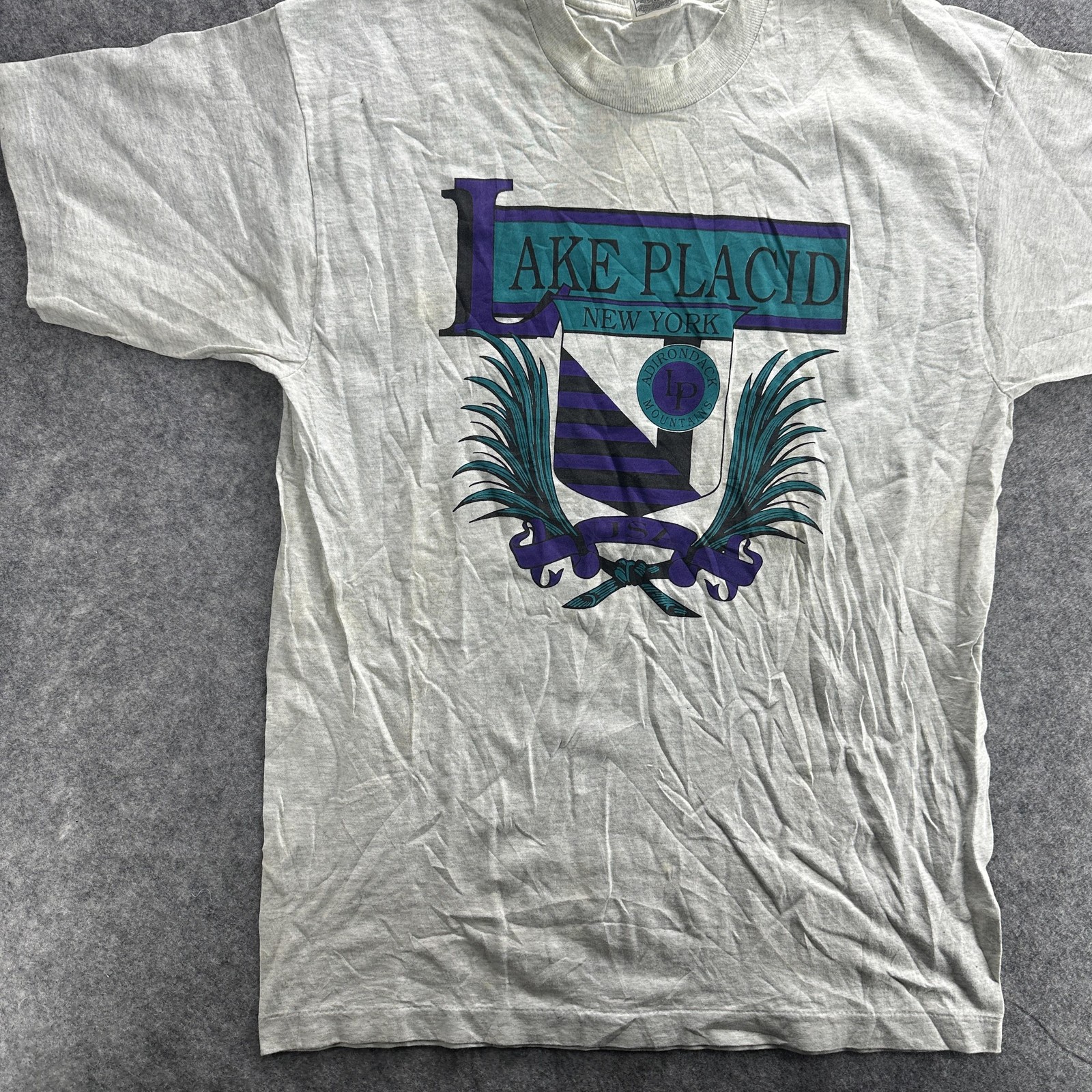 Vintage Lake Placid Shirt Mens Large Gray Adirondack Mountains Crest 90s Tee USA gallery
