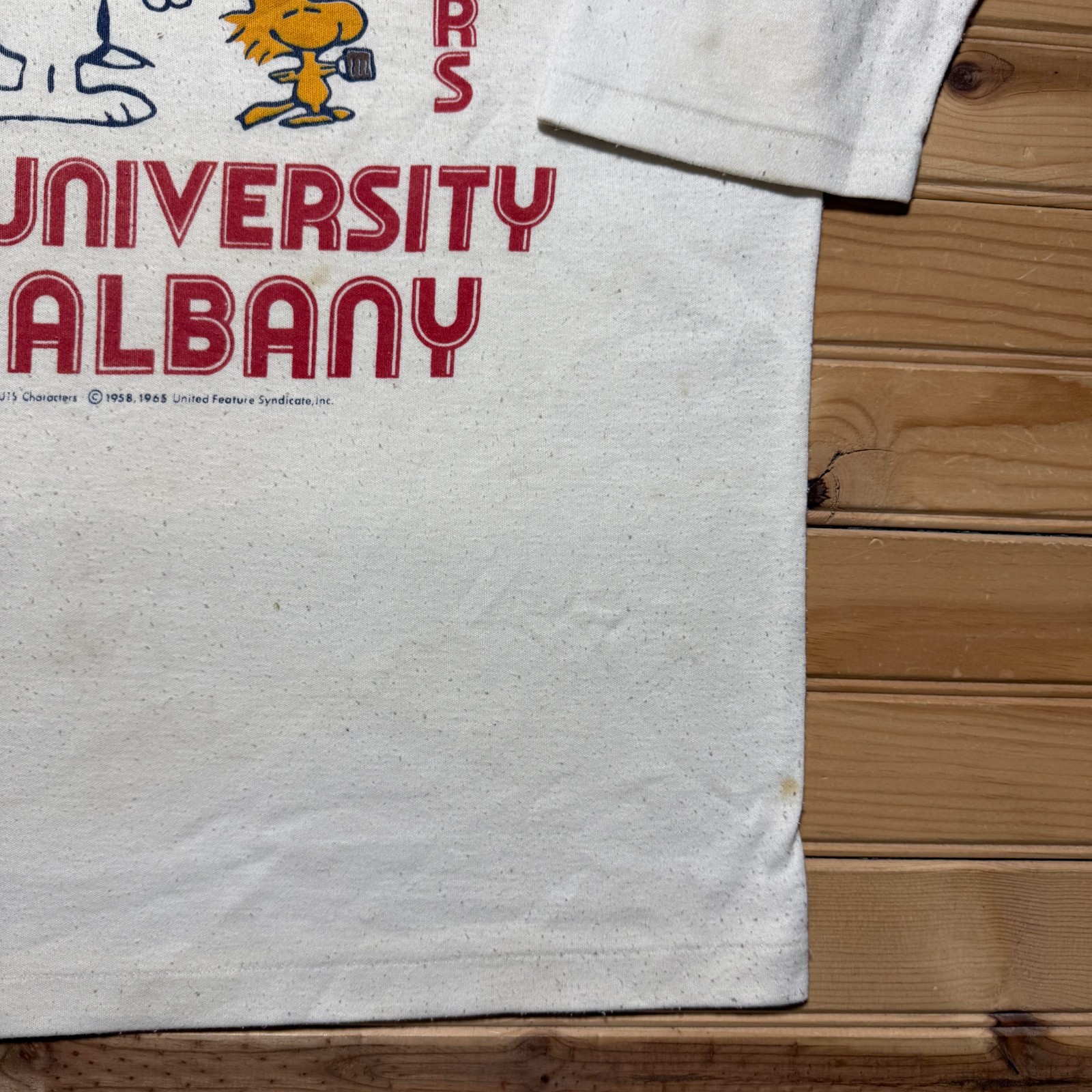 Vintage 80s University At Albany Peanuts Snoopy Woodstock Cartoon T-Shirt Medium gallery