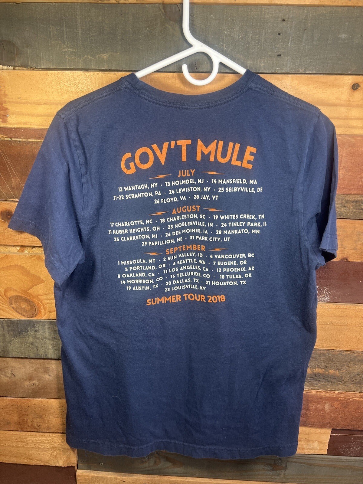 Government Mule 2018 Band Music Tour Shirt Blue T Shirt Size Large Canvas Tags gallery
