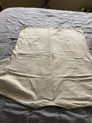 Frank Lloyd Wright Frederick C Robie House “Hanes Beefy-T” 2XL Beige/Tan T-Shirt