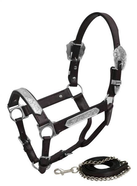 Brown Leather Silver Show Halter w Matching Lead Yearling COB Small Horse 161137