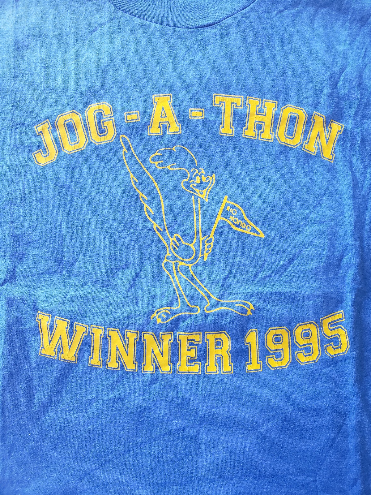 Vintage 1995 Downey, CA Rio Hondo School Jog-a-Thon Shirt Size L gallery