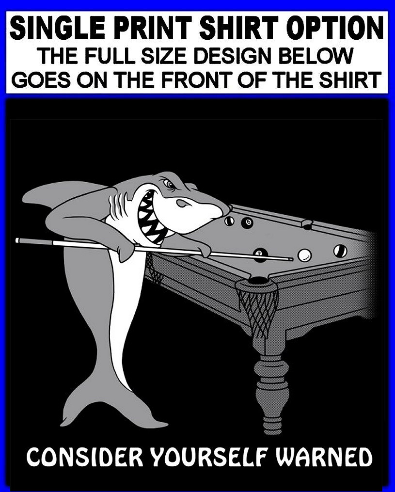 Consider Yourself Warned 9 Ball Cue Stick Pool Shark Player Warning T-shirt gallery