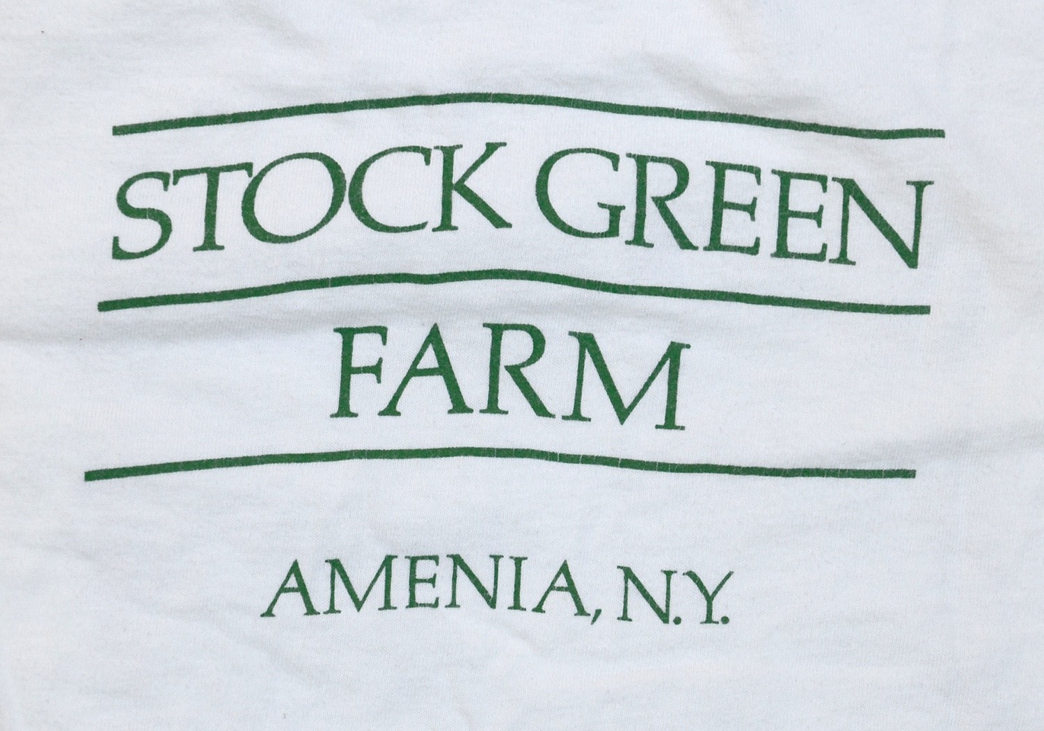 ∞ NEW Vintage FRANK STELLA T Shirt Stock Green Farms Amenia NY MOMA Era 80s ∞ gallery