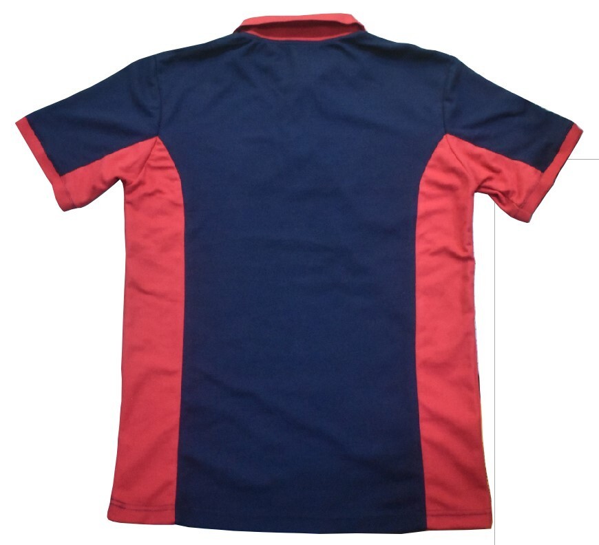 cotton polyster T-shirt for menz gallery