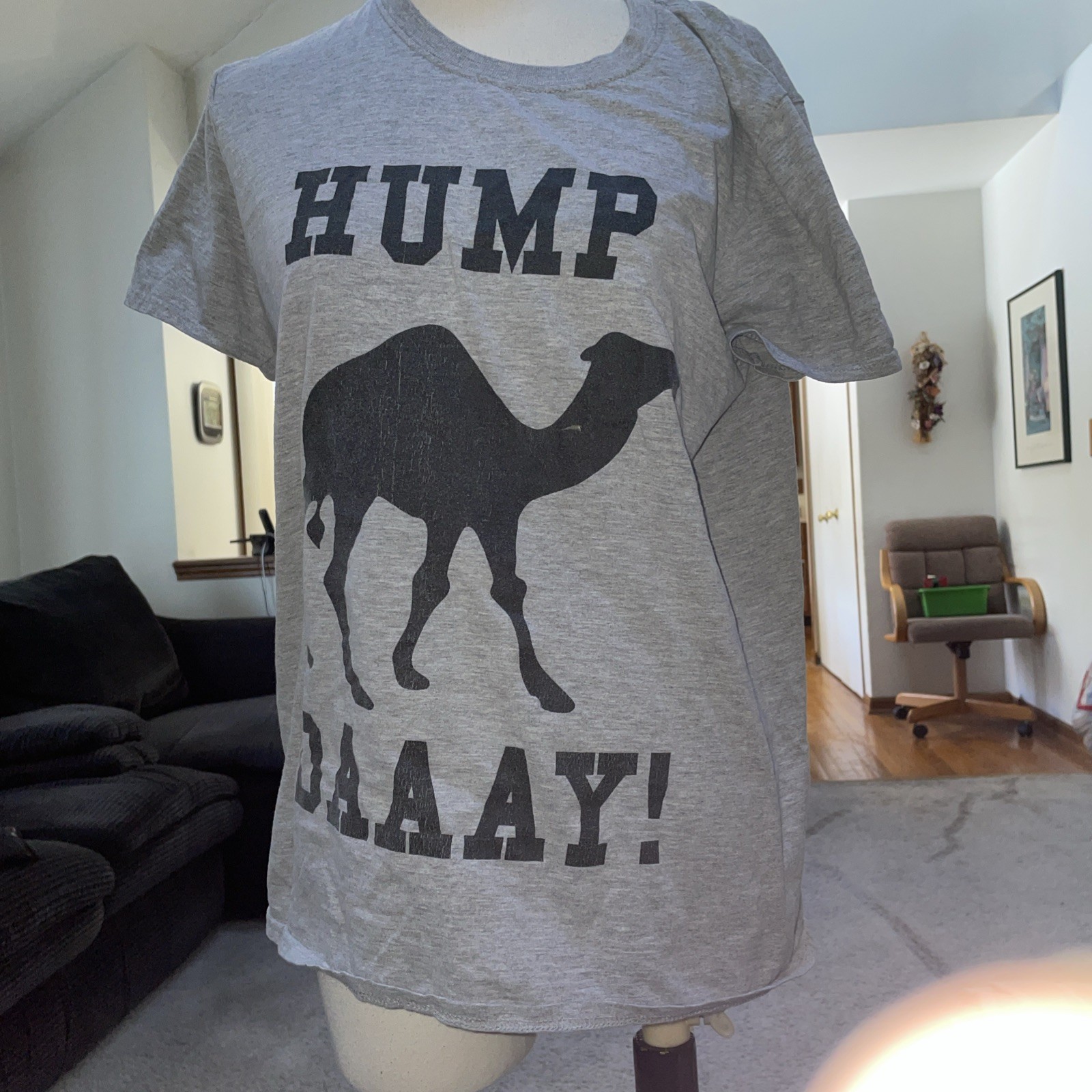 Urban Camel Hump Day! Gray Short Sleeve T Shirt Size Medium