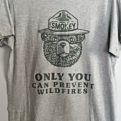 Smokey The Bear Gray Green Size M, Only You Can Prevent Forrest Fires T Shirt