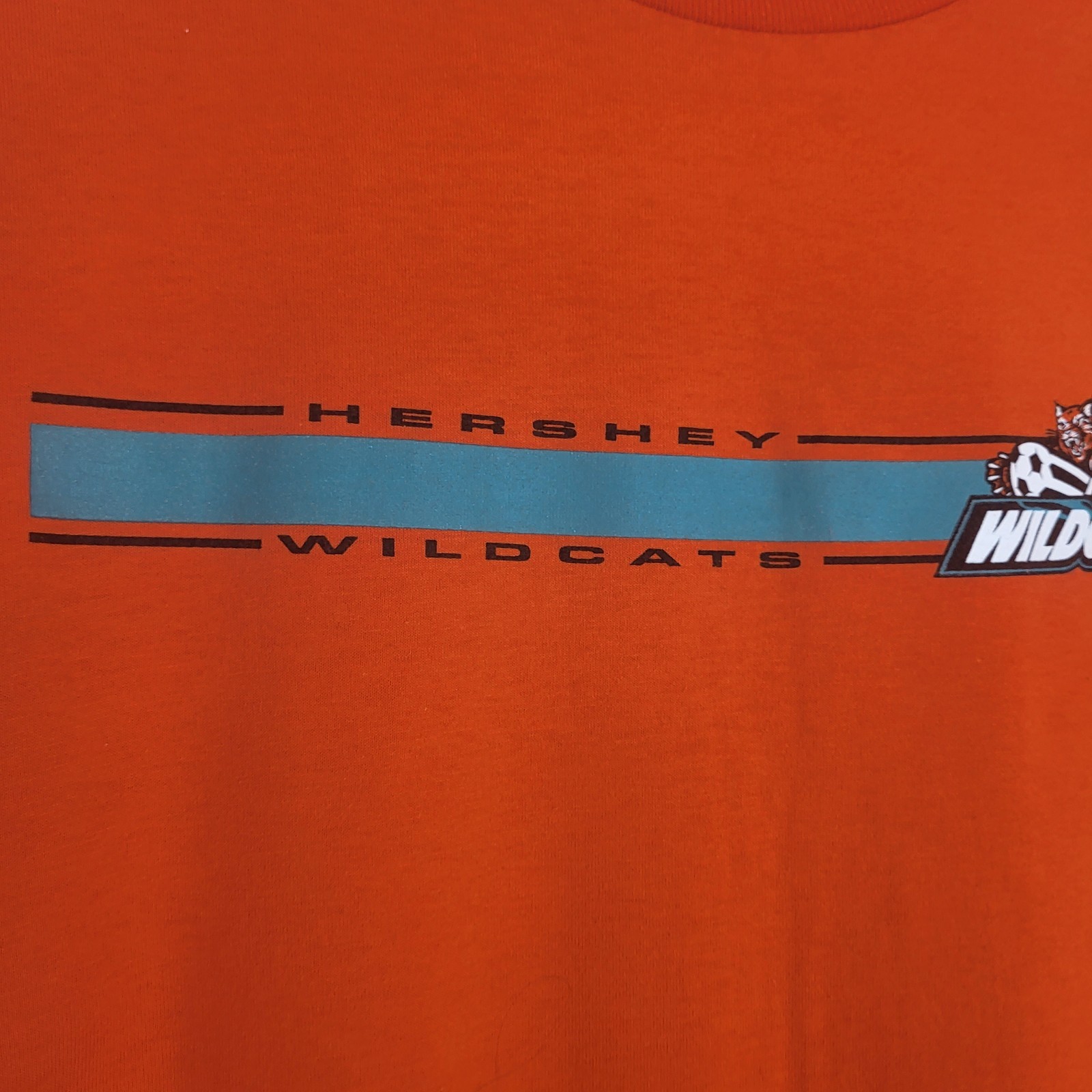 Vintage 90's Hershey Wildcats T-Shirt Adult L USL Soccer PA gallery