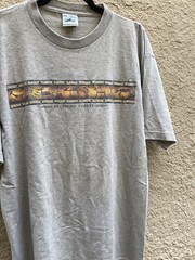 Men’s Eco Mountain Beige Petrified Forest Cave Art T-Shirt L Cotton Boho USA