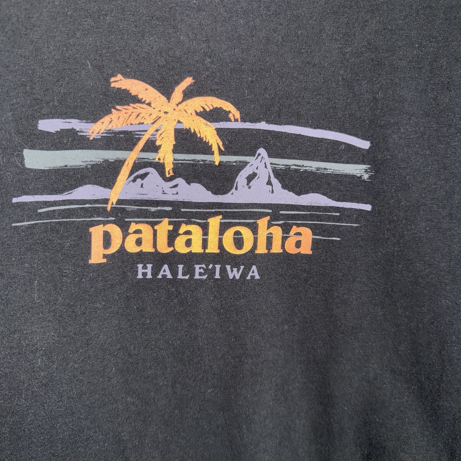 Patagonia Pataloha Short Sleeve T Shirt-Black-Organic Cotton-Medium gallery